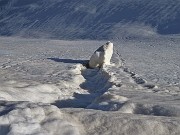 A CA' SAN MARCO (1830 m) dal Ristorante Genzianella (1300 m) pestando neve il 24 febbraio 2021 - FOTOGALLERY"